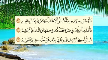 سورة الذاريات كاملة القارئ الشيخ صلاح ابو خاطر