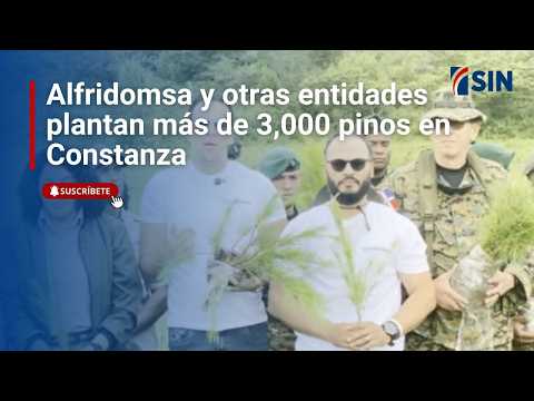 Alfridomsa and other organizations plant over 3,000 pine trees in Constanza