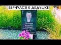 Вернулся к Дедушке после 26 лет / Returned to my grandfather after 26 years #belarus