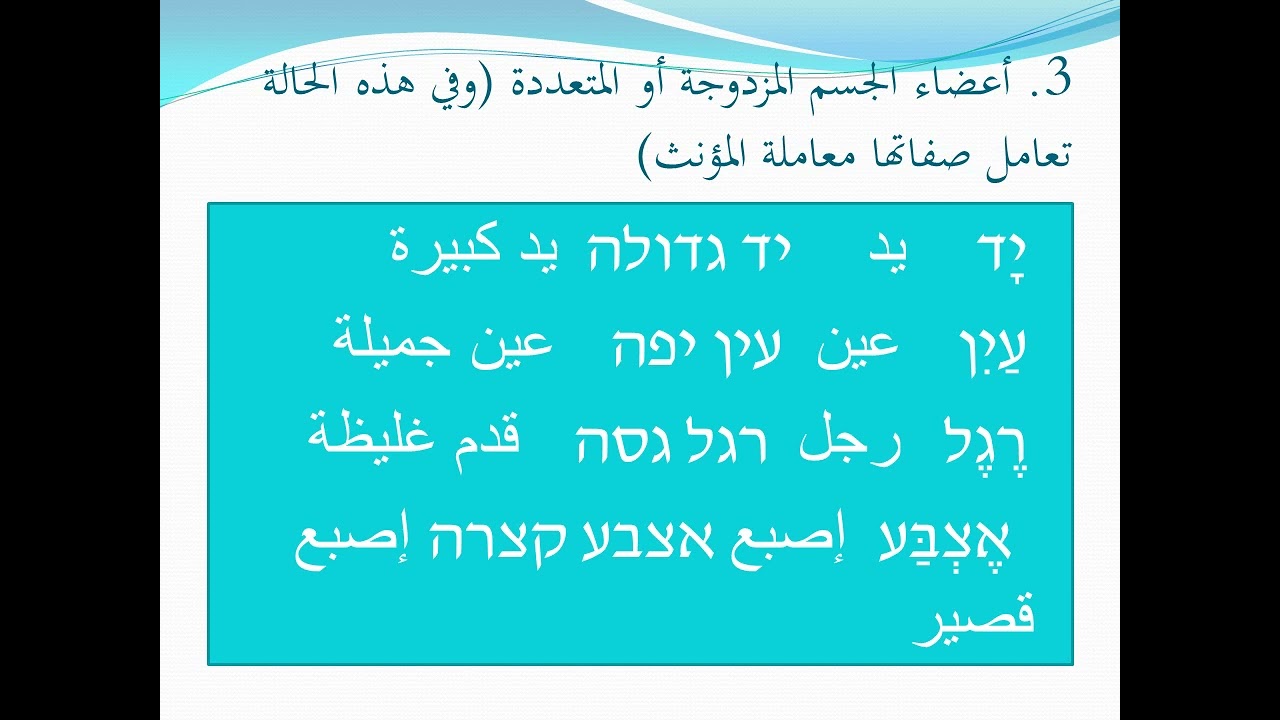 זכר ונקבה المذكر والمؤنث باللغة العبرية من برنامج دقيقتان بالعبرية مع د محمود صبري