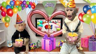 Smart Bim Bim celebrated Monkey Obi's birthday in a wonderful way by Baby Monkey Animal 28,683 views 1 month ago 4 minutes, 6 seconds