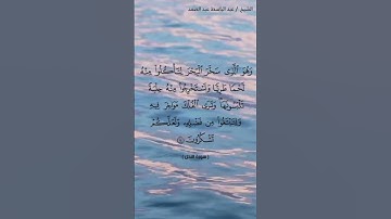 سورة النحل الآية ١٤ الشيخ عبد الباسط عبد الصمد