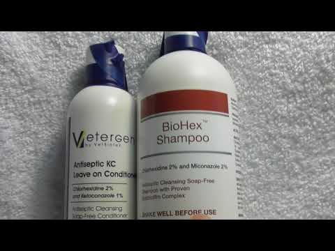 dog-itching-scratching-chewing-paws-yeast-infection-biohex-shampoo-antiseptic-kc-review