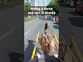 Riding a horse and cart in Manila