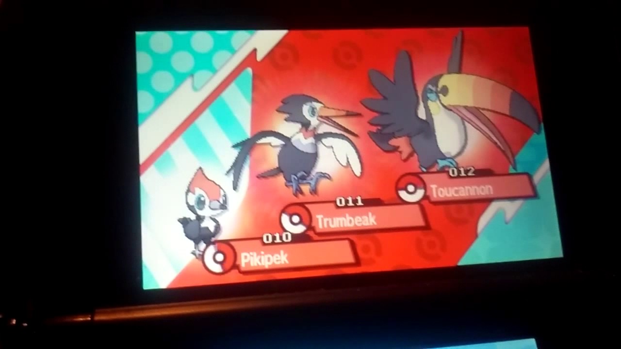 Pikipek Evolution Chart