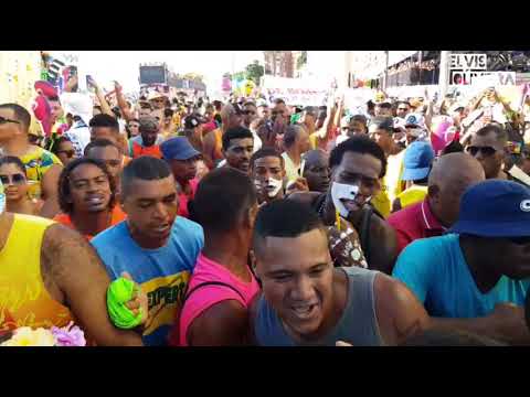camaleÃo-segunda-2020---by-elvis-oliveira