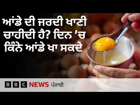 ਕੀ Eggs ਰੋਜ਼ਾਨਾ ਖਾਧੇ ਜਾ ਸਕਦੇ ਹਨ, ਕਿਹੜੇ eggs ਬਿਹਤਰ ਹਨ | 𝐁𝐁𝐂 𝐏𝐔𝐍𝐉𝐀𝐁𝐈