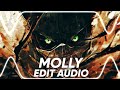 Molly Playboy Carti Guitar Remix Edit Audio