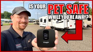 Waggle RV Pet Safety Monitor Review