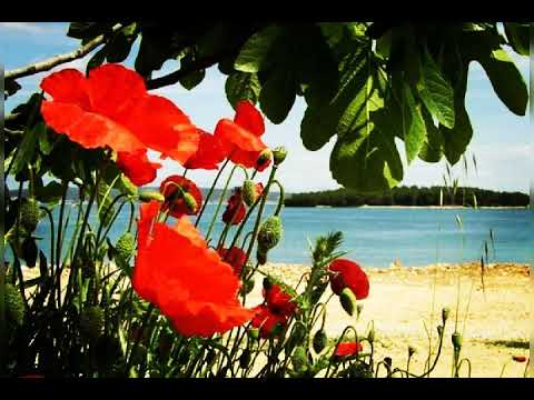 Theonlyone! - YouTube