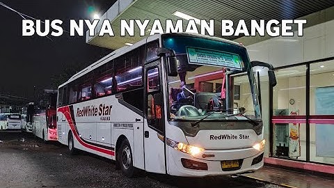 CEPAT & NYAMAN DARI BANDUNG KE BANDARA SOETTA NAIK BUS PRIMAJASA 😁