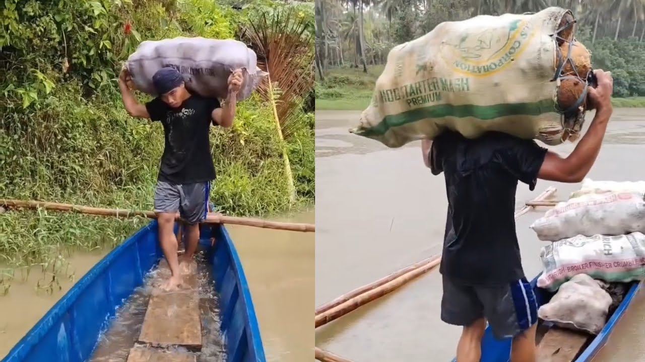 Full video sa akong pag Saka og pag bunot og pag hakot sa lubi mga idol