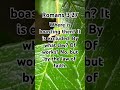 Romans 3:27 #Jesus #bible #life #bibleverse #verseoftheday #verse #live #newtestament #scripture #r