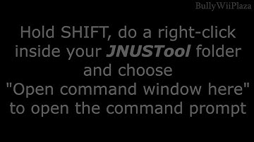 [Wii U] Downloading Firmware 5.5.2 Version Spoof [using JNUSTool]