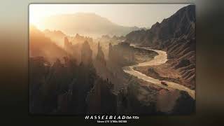 Breaking the Mold: Do Photographers Ignore Their Lives Anymore