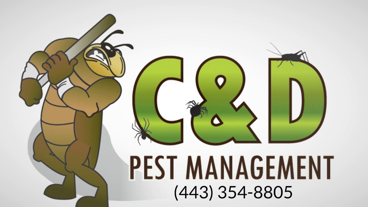 Pest Control Services Hillsmere Shores MD (443) 354-8805