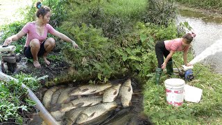 Exciting Wild Fishing, Girl Catches A Lot Of Fish With A Pump That Pulls Water Out Of A Wild Lake