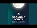 Miniature de la vidéo de la chanson Piano Sonata No. 18 In G Major, D. 894, "Fantasie": Ii. Andante