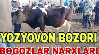 YOZYOVON MOL BIZORI BOGOZ MOLLAR NARXLARI