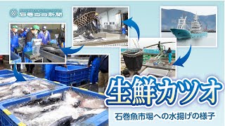 【石巻魚市場】2021カツオ初水揚げの様子