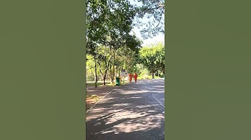 سورة الانعام 8 بصوت القارئ #احمد_العجمي