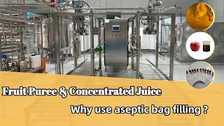 Why Aseptic Bag Filling Is Best For Fruit Puree & Concentrate