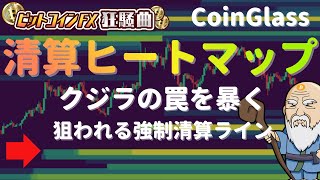【大口追従】クジラの罠を暴く！CoinGlass清算ヒートマップの正しい見方とトレード活用術【Liquidation Map】