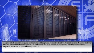 Ifcd01 Administracion De Bases De Datos Oracle Online - Cursos Online
