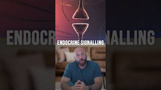 Stop Taking Too Much Zinc! It Could Hurt Your Testosterone @balancemyhormones