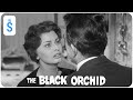 The Black Orchid (1958) | Mary Accepts Rose 🌹