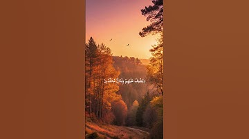 ما أجمل القرآن الكريم ❤🌹 #قران_كريم