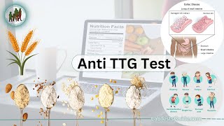 Anti TTG (Anti-tissue Transglutaminase) antibodies Test