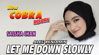 Alec Benjamin - Let Me Down Slowly  - Salsha Chan - New Cobra