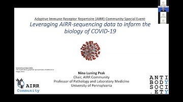 AIRR-C Special Event: Leveraging AIRR-seq data to inform the biology of COVID-19 (N. Luning Prak​)