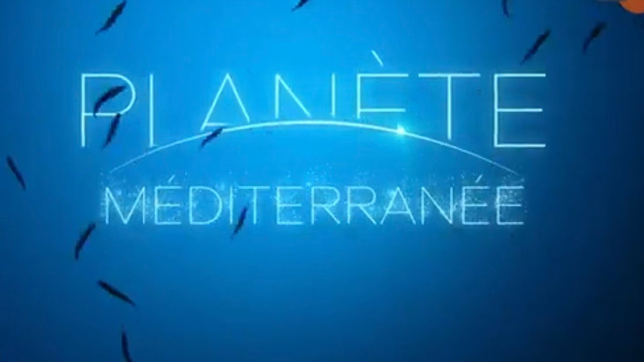 Sprawdzian Morze Bałtyckie Planeta Nowa 3 Sto metrów pod wodą planeta Morze Śródziemne - film dokumentalny lektor
