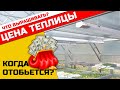 Такая теплица окупится быстро 💵 Или нет?