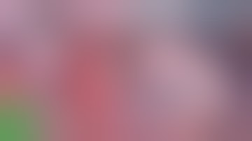 Phantasy Star Online 2: New Genesis - Xbox Games Showcase Trailer