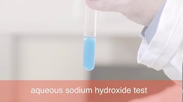 IGCSE Lab: Tests for aqueous cations 2