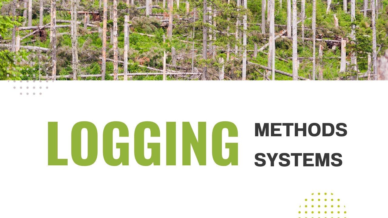 02 Logging method and system 4 - YouTube