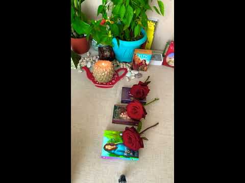 სიყვარული🌹🕊რა არის თქვენს შორის და რა იქნება! საჯარო გაშლა! ტარო-ლენორმან ლილიანა💓🧿