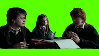Youre gonna suffer, but youre gonna be happy about it - Harry Potter Green Screen