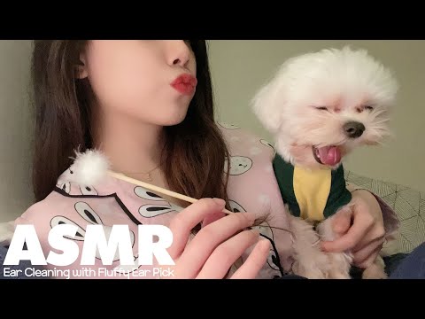 ASMR🌙 제 방에 놀러오실래요? 연휴기간 쌓인 귀지 파드릴게요👋ㅣ봉봉이와 솜털 귀청소 No Talking