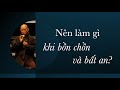 Khi bồn chồn và bất an, nên làm gì? Trích pháp thoại Sư Ông Làng Mai 14/12/1995
