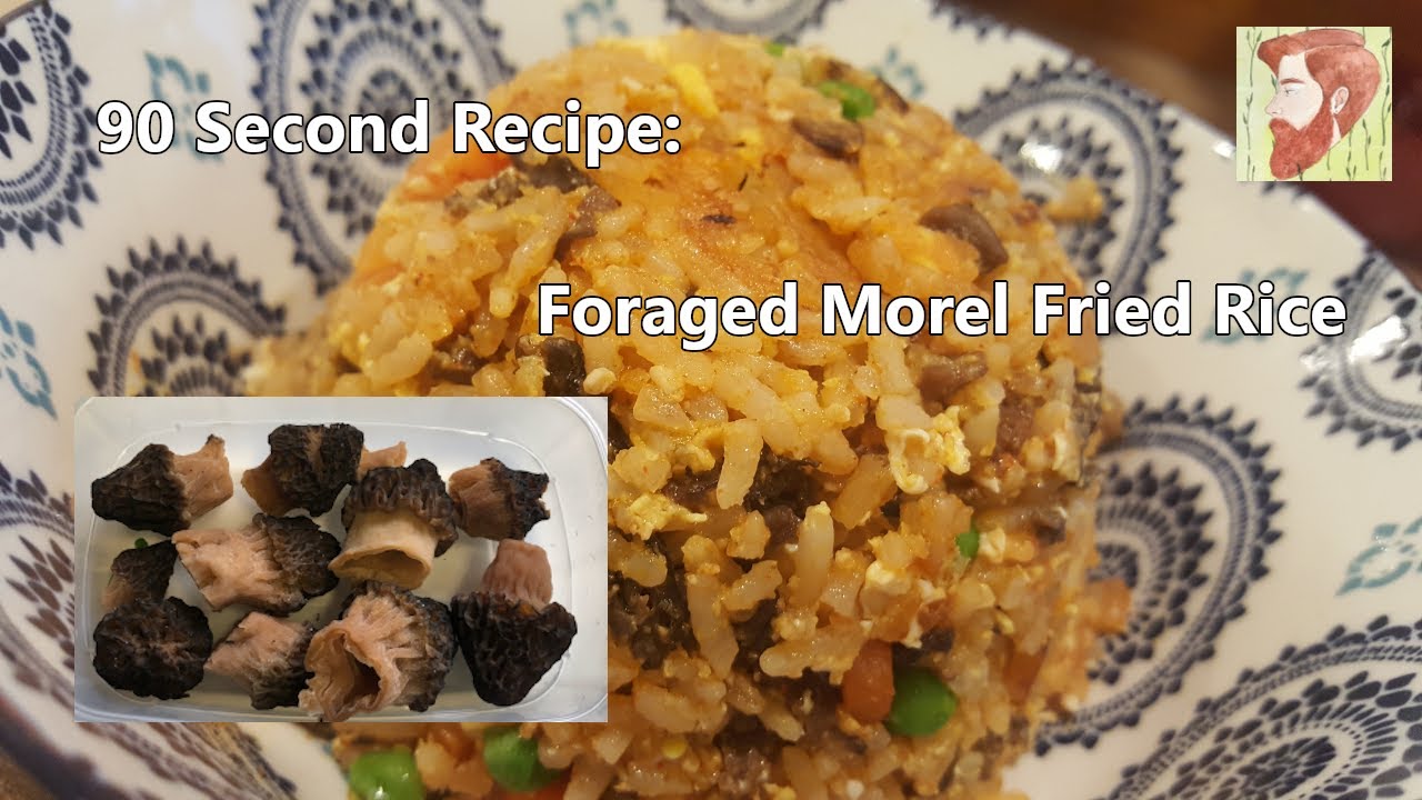 90 Second Recipe Foraged Morel Rice YouTube