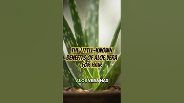 The little-known benefits of aloe vera for hair. #shorts #health #facts