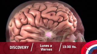 Discovery Promo 17 03 14