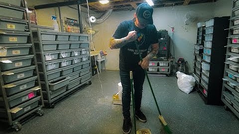 Showing Ball Pythons & Sharing Future Plans