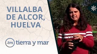 Villalba de Alcor, Huelva