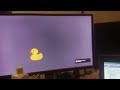 End of video