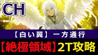 【絶極領域】一方通行 Challenge 2T攻略【とあるIF】【とある魔術の禁書目録_幻想収束】【ゲーム実況】